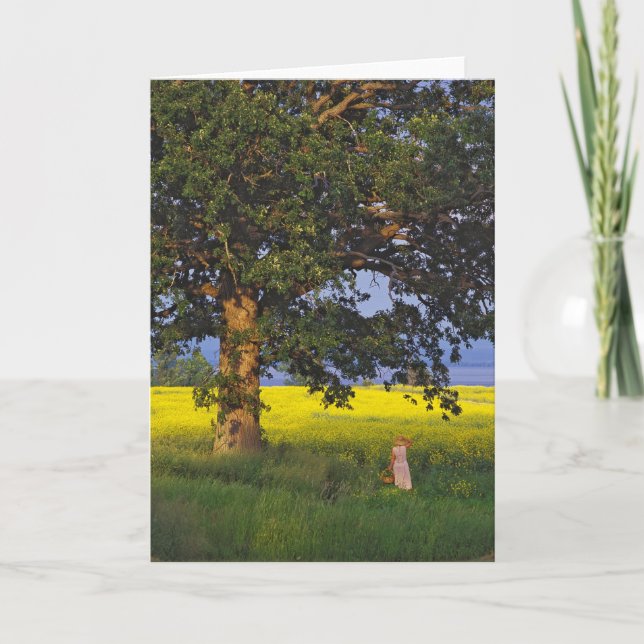 Carte GREETING CARDS North Hero Vermont (Devant)