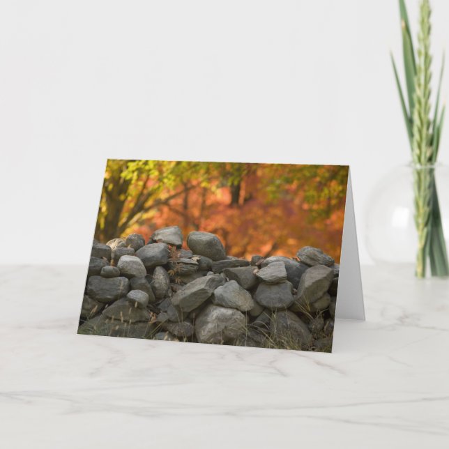 CARTE GREETING CARDS STONE (Devant)