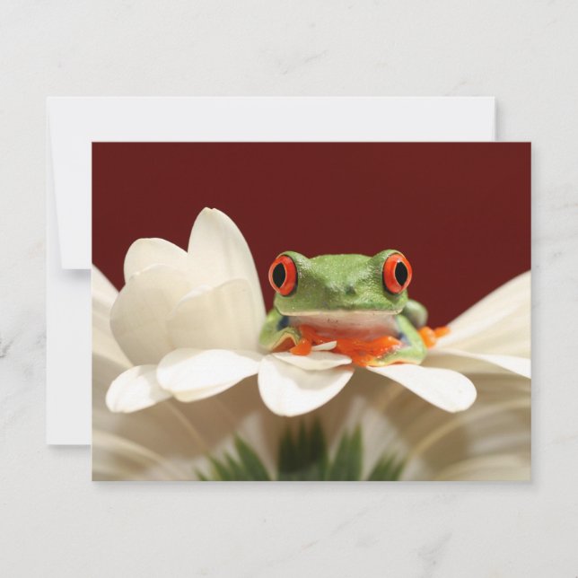 Carte grenouille (Devant)
