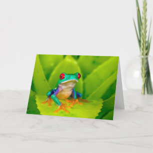 Carte Grenouille aux yeux rouges, Costa Rica