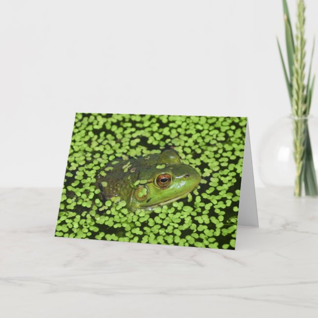 Carte Grenouille verte (Devant)
