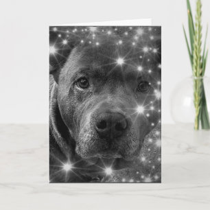 Carte Grey Pitbull Terrier avec Amoureux des chiens Spar
