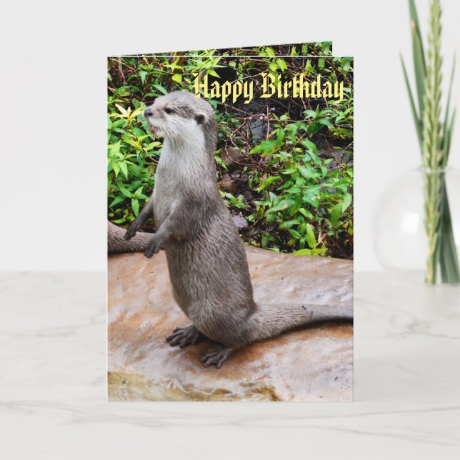 Carte Grey Standing Otter Joyeux anniversaire (Devant)
