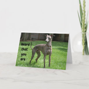 Carte GREYHOUND IRLANDAIS COMÉDIQUE HEUREUX "60ème anniv