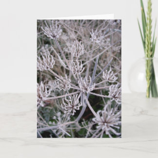 Carte griffes d'hivers