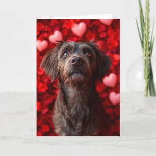 Carte Griffon à poil dur Hearts Saint-Valentin