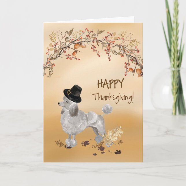 Carte Gris Poodle Drôle Pèlerin Casquette Thanksgiving (Devant)