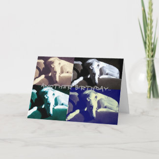 Carte Grise anniversaire