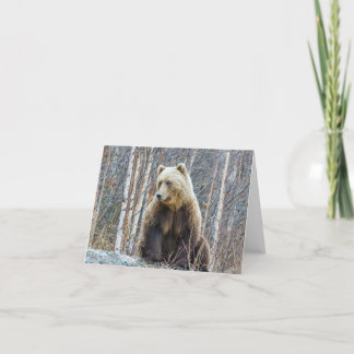 Carte Grizzly Bear