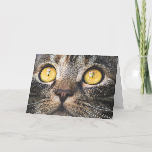 Carte Gros plan de chat avec Yellow Eyes (Devant)