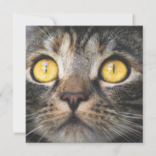 Carte Gros plan de chat avec Yellow Eyes