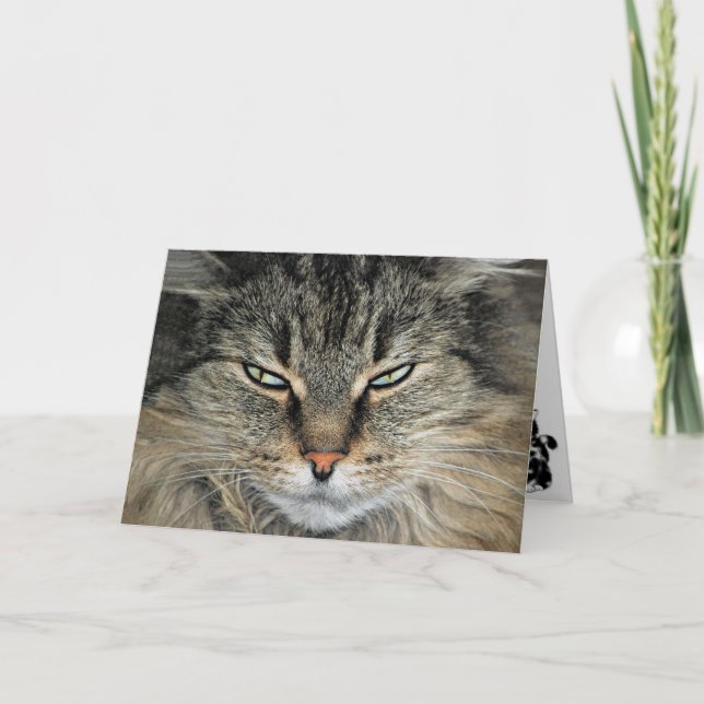 Carte Gros visage Chat Anniversaire (Devant)