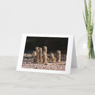CARTE GROUPE DE CHIENS PRARIE DISENT JEUX ANNIVERSAIRE