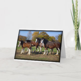 Carte groupe de clydesdale