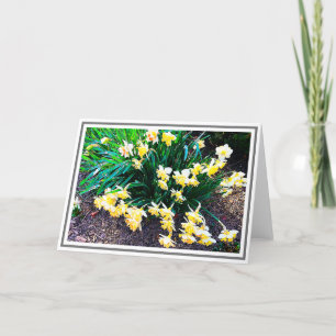 Carte Groupe de jonquilles jaune vif avec Feuilles verts