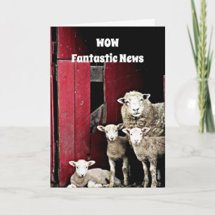 CARTE "GROUPE DE SHEEP" VOS FÉLICITATIONS ROCK