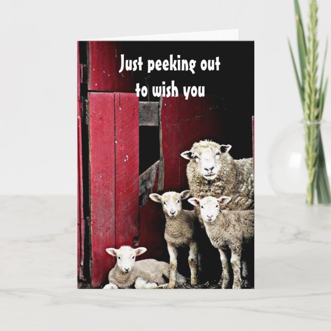 CARTE "GROUPE DE SHEEP" VOUS SOUHAITEZ *MERCI NOËL* (Devant)
