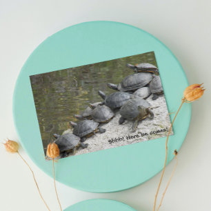 Carte Groupe de tortues photo anniversaire drôle