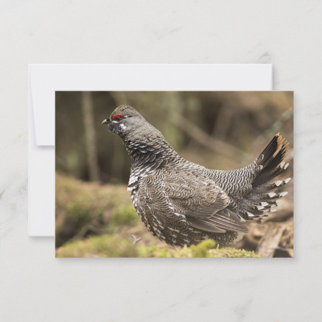 Carte Groupement fier (Devant)