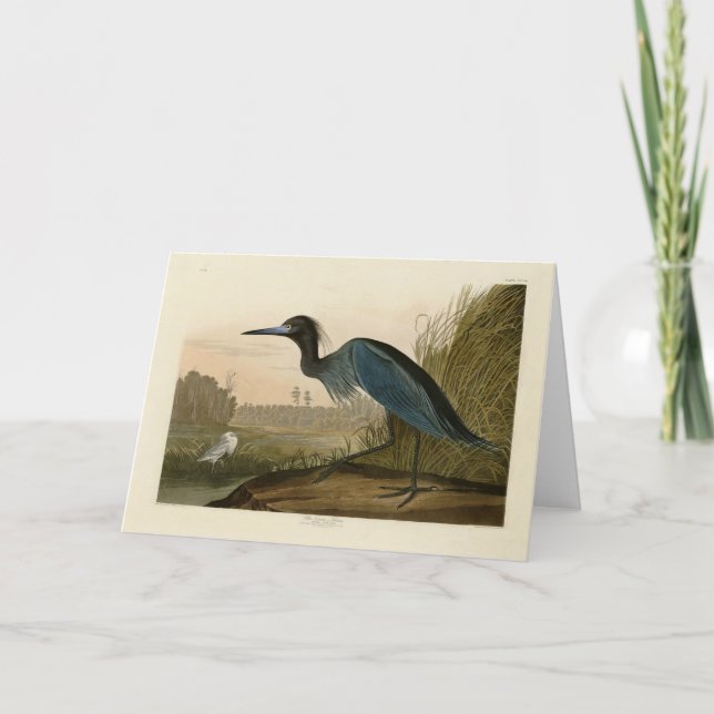 Carte Grue Bleue Heron Audubon Peinture (Devant)