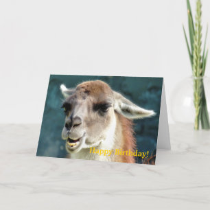 CARTE GUANACO