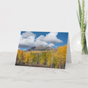 Carte Gunnison National Forest, Colorado