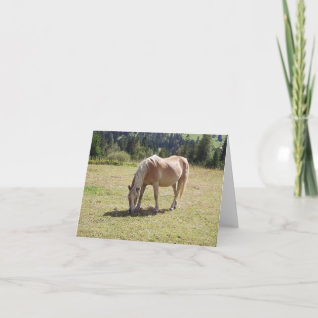 Carte Haflinger Palomino Pony en été Pony Photo (Devant)