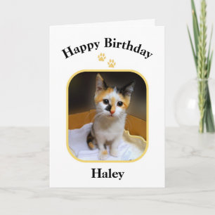 Carte Haley Chaton Tricolore Joyeux Anniversaire