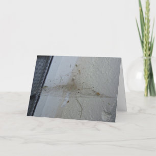 Carte Hallowe’en "Après une fête de l’araignée"