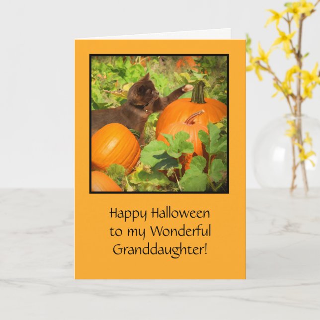 Carte Halloween avec de mignons Citrouilles de chat pour (Fleur jaune)