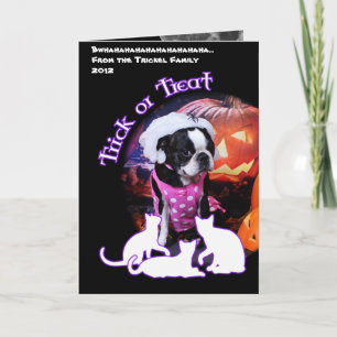 Carte Halloween - Boston Terrier - Georgia