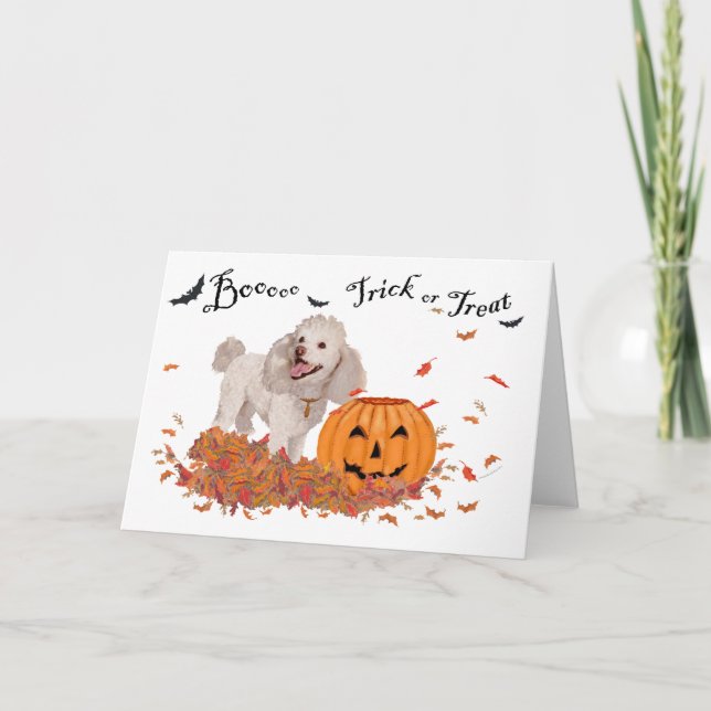 Carte Halloween caniche (Devant)