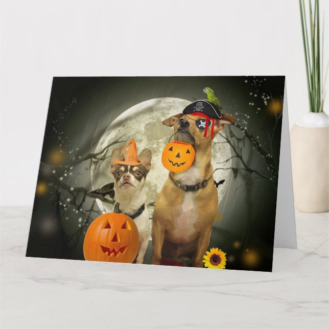Carte Halloween chihuahuas (Devant)