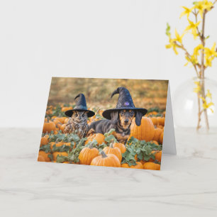 Carte Halloween drôle avec chouette chouette et dachshun