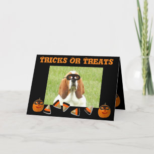 Carte Halloween drôle & mignonne Basset Hound & Ci