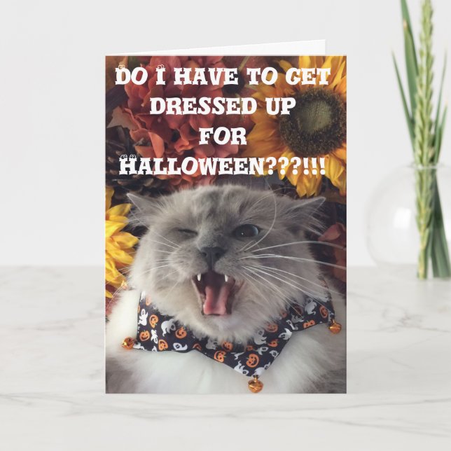 Carte Halloween heureux/carte grincheuse de chat (Devant)