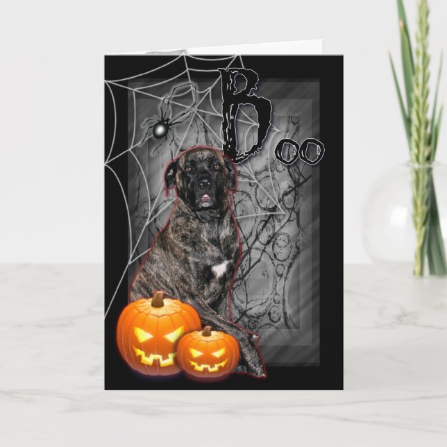 Carte Halloween - Howloweenie Mastiff - Cyclone (Devant)