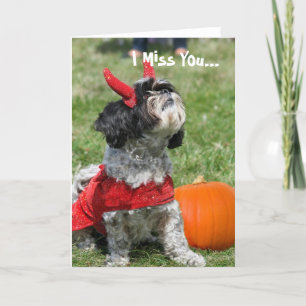 Carte Halloween Shih