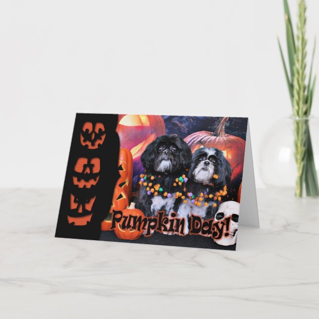 Carte Halloween - Shih Tzu - Ruffles Riley (Devant)