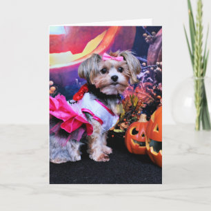 Carte Halloween - Yorkie - Zoey