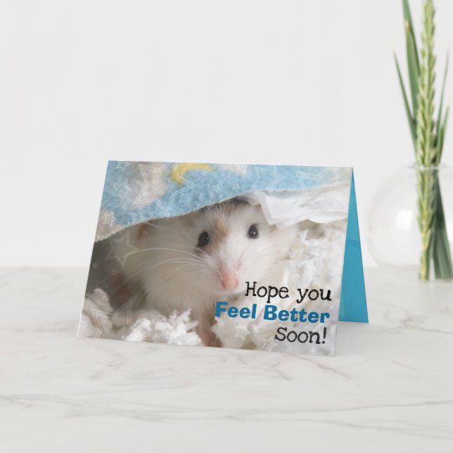 Carte Hammyville - le hamster mignon obtiennent bientôt (Devant)