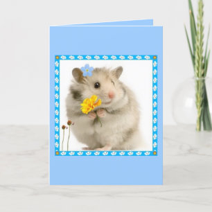 Carte hamster