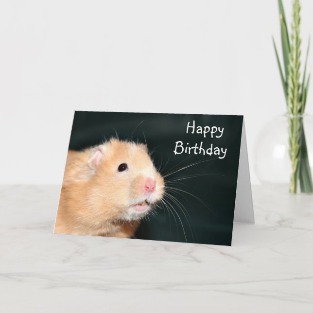 Carte Hamster de joyeux anniversaire (Devant)