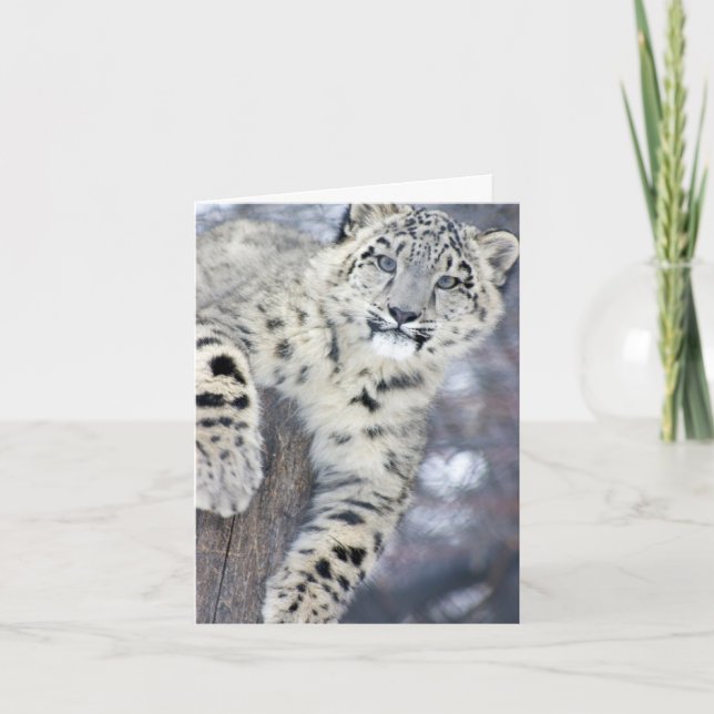 Carte Hangin autour de…. (Devant)