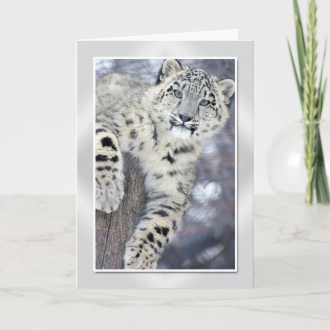 Carte Hangin autour de….(w/border) (Devant)