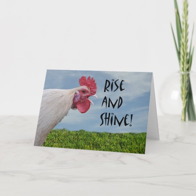 Carte Happy Anniversaire Humoristique Poulet Monter et b (Devant)