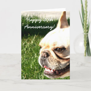 Carte Happy Anniversary French Bulldog greeting card