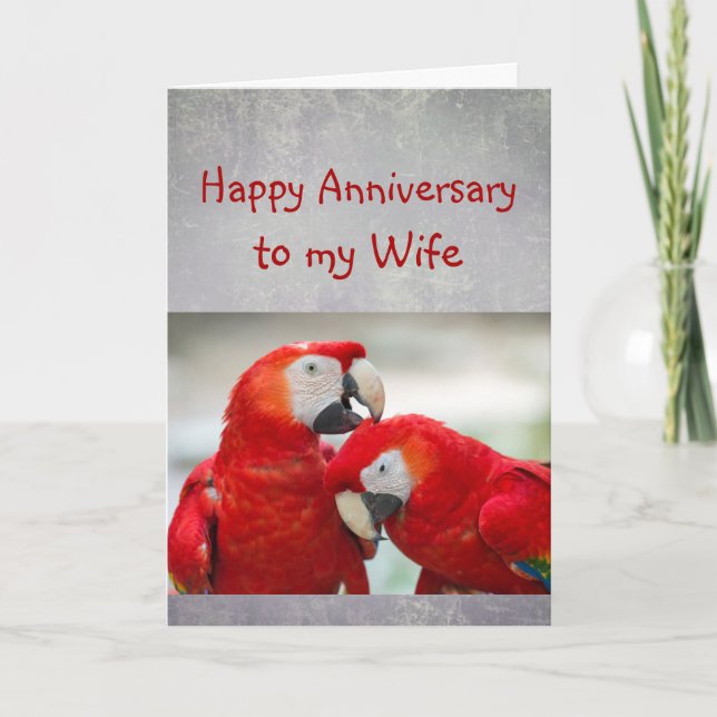 Carte Happy Anniversary Sweetheart Parrot Wife Love  (Devant)