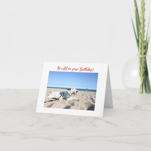 Carte Happy Birthday! Beach Bull Terrier Hawaii (Devant)