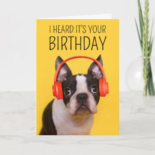 Carte Happy Birthday   Boston Terrier